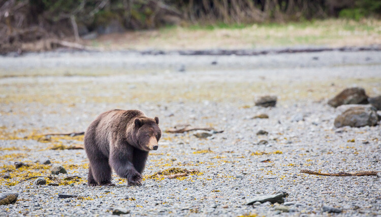 Throw Away Your Photos Carefully - 5 Things to Consider Before You Hit Delete