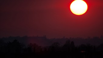 The Unseen Frame: Why Photography is More Than Just a Click