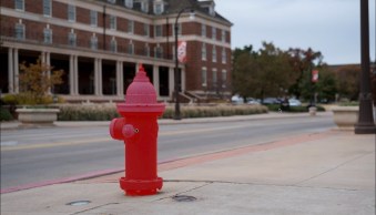 The Essential Guide to Object Selection in Lightroom