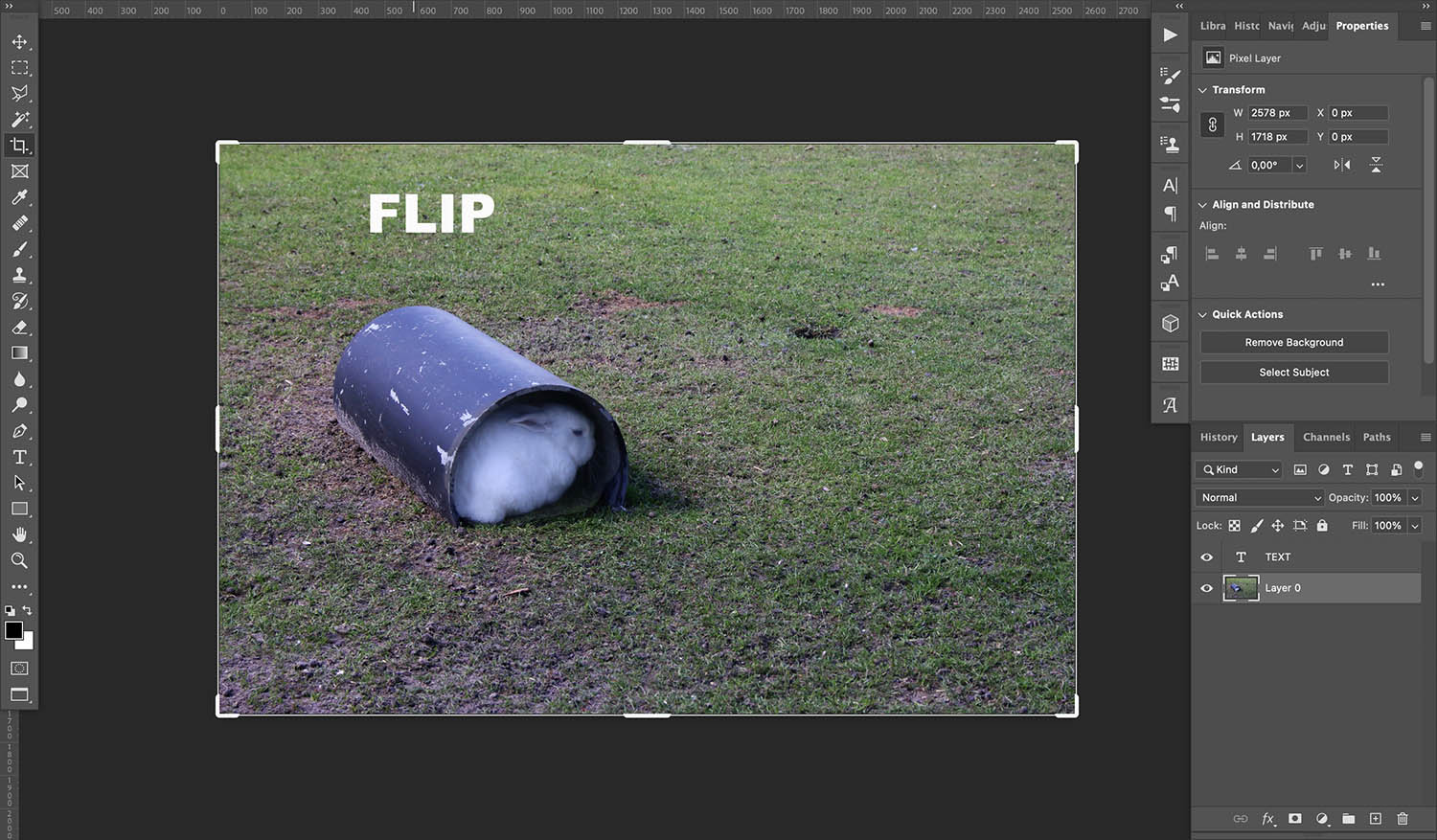 How to mirror an image in Photoshop